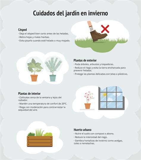 Infografía Cómo cuidar el jardín en invierno Aprende Mejora