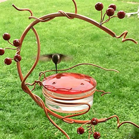 Which Best Hummingbird Feeder With Bee Guard Should You Buy Now