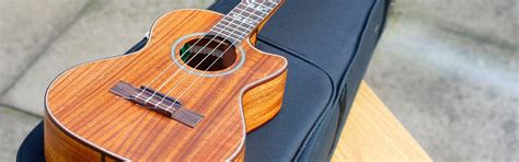 6 Best Tenor Ukuleles Reviewed in Detail [Oct. 2024]