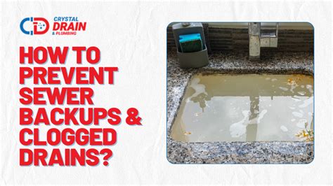 How To Prevent Sewer Backups And Clogged Drains Happening During A Storm