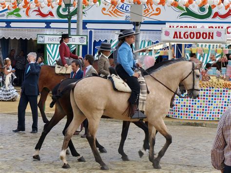 Sevilla Daily Photo: Protagonistas de la feria (1): el caballo.