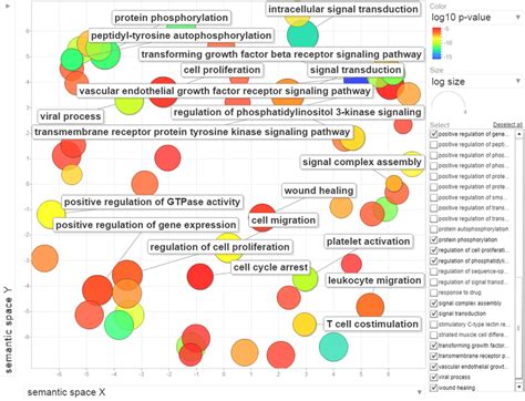 Scatter Plot Of Significantly Enriched Go Biological Process Terms