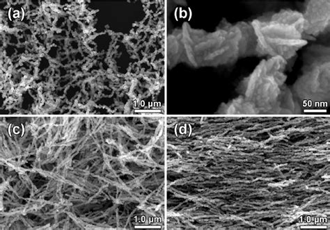 Typical SEM Images Of The Grown Ni Nanochains With Interlaced Nanodisc