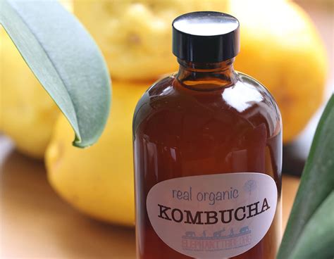 In Search Of Health Were Now Making Our Own Real Organic Kombucha