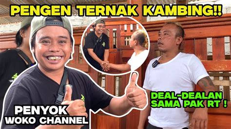 PENYOK WOKO CHANNEL PENGEN MEMULAI TERNAK KAMBING BARENG PAK RT