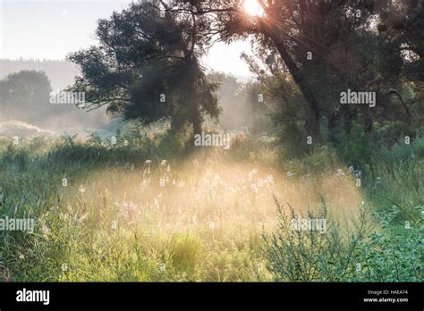 Misty Dawn At The Lake Stock Photo Alamy