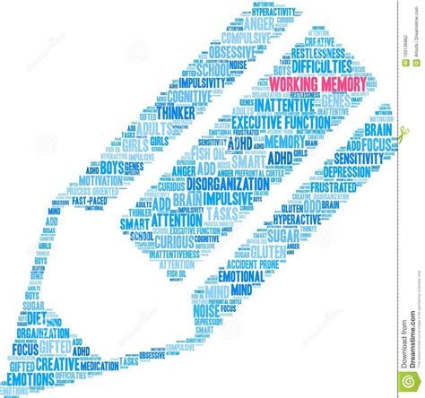 Working Memory And Conscious Awareness Outline Diagram Vector