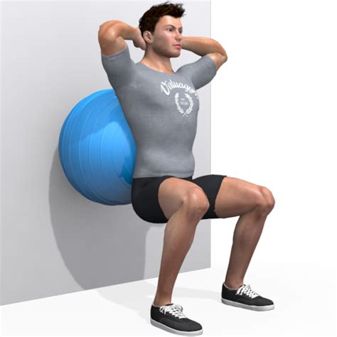 Exercise Ball Wall Squat Eccentric Video Exercise Guide