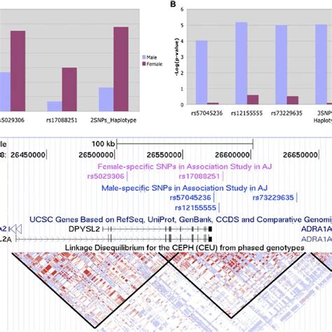 Identi Fi Cation Of Two Sex Speci Fi C Haplotypes With Sz Download Scientific Diagram