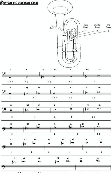 Good For Reference Music Chords Brass Instruments High School Music