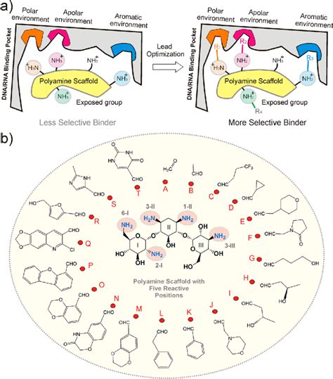 A Schematic Representation Of The Fragment Based Strategy Proposed