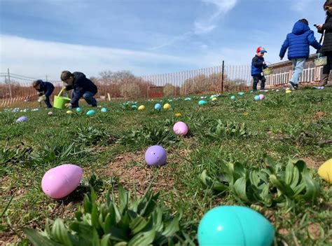 500 turn out for Catholic Charities of Staten Island Easter event | Subscribers: 32 photos ...