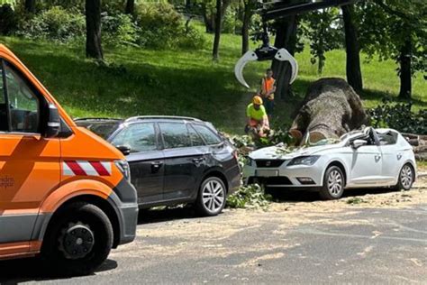 Heftige Windb En In Dresden Feuerwehr Im Dauereinsatz