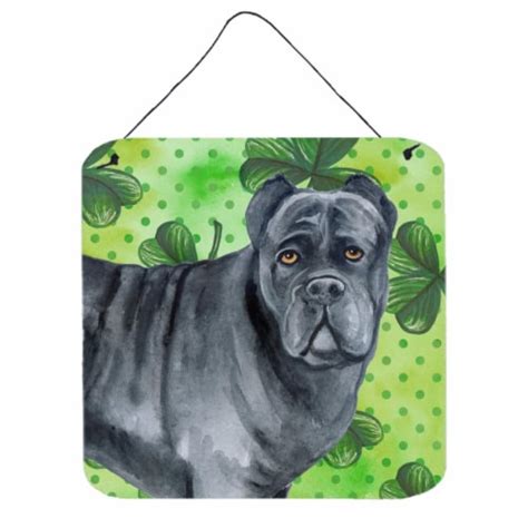 Cane Corso St Patricks Wall Or Door Hanging Prints 1 Smith’s Food And Drug