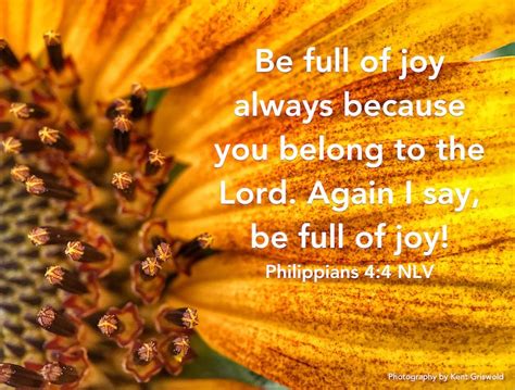 Joy Philippians 44 Joy Inspirational Scripture Philippians