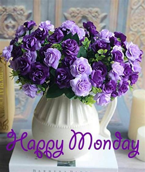 Purple Rose Happy Monday Image Pictures, Photos, and Images for ...