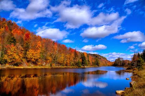 Adirondack Photography Bald Mountain Pond In Autumn