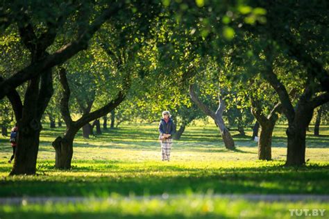 В Беларусь пришло бабье лето - Новости Беларуси - Хартия'97