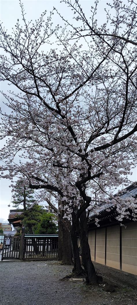 Higashi Hongan-ji: Exploring One of Kyoto's Most Impressive Temples