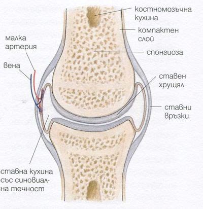 1. Хапчета с Ефикасно Лекарство за Стави и Кости • (Лечение)
