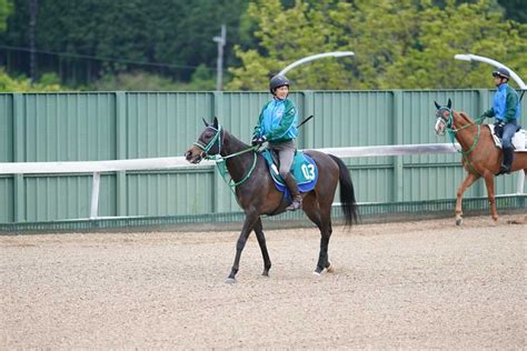 【今週の注目新馬】サフィラ・全兄はサリオス サンスポzbat