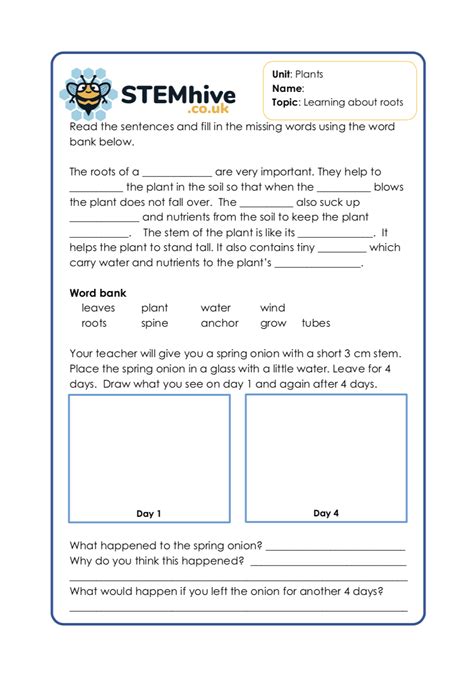 Plants Topic Ks2 Science Experiments Planning Lessons Resources