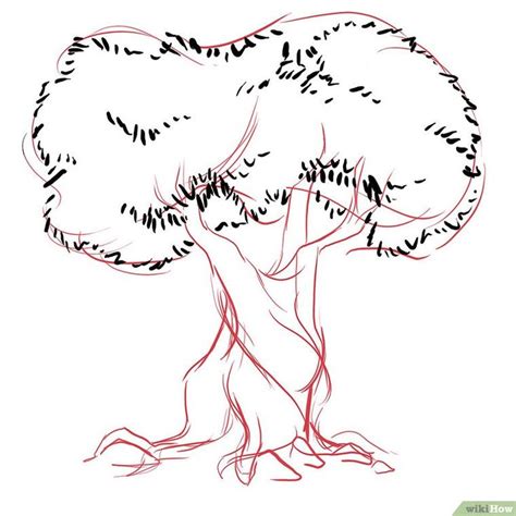 How To Draw An Olive Tree 6 Steps With Pictures In 2020 Olive Tree