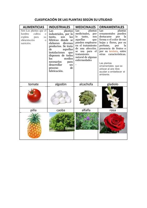 Clasificación de las plantas según su utilidad PDF