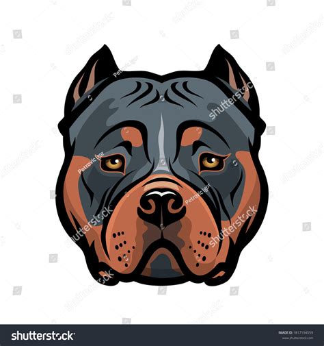 759 American Bully Head Stock Vectors and Vector Art | Shutterstock