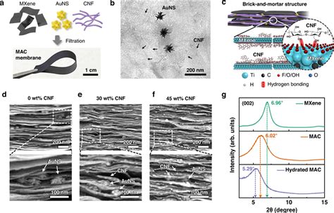 Characterization Of The Nanoconfined Mac Ion Channel A Schematic Of The