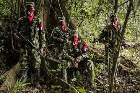 De Las Farc Al Eln El Auge De La Guerrilla 14 Milímetros