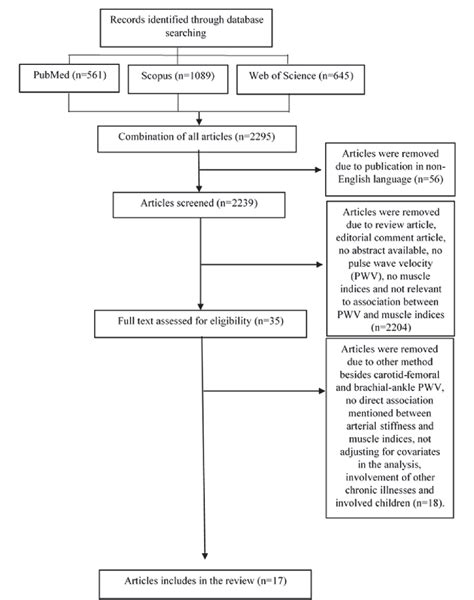 Figure 1 From The Association Between Arterial Stiffness And Muscle