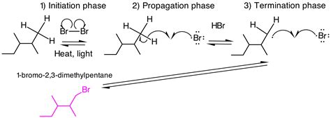 organic chemistry - Products of radical bromination and mechanism - Chemistry Stack Exchange