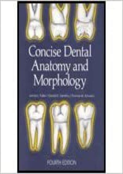 ⚡pdf⚡ Concise Dental Anatomy And Morphology 4th 01 By Fuller Jim