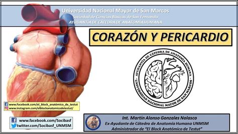 Anatomía del corazón y el pericardio Proyecto del CEM UNMSM Todos