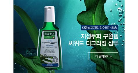 라우쉬