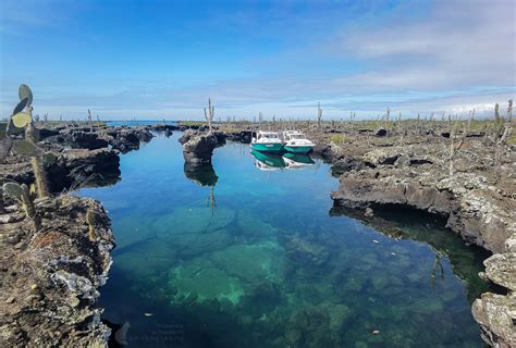 Los Tuneles Und Cabo Rosa Schnorcheln An Den Lavatunneln Von Galapagos