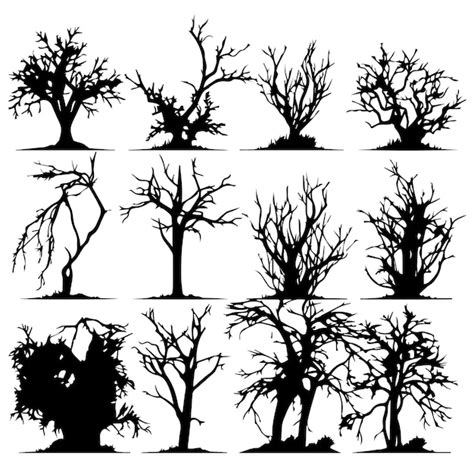 Silhouette D Arbre Mort Vecteur Silhouettee Arbre Sans Feuilles