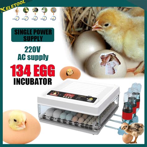 Incubator Egg Automatic Thermostat Alat Mesin Penetas Tempat