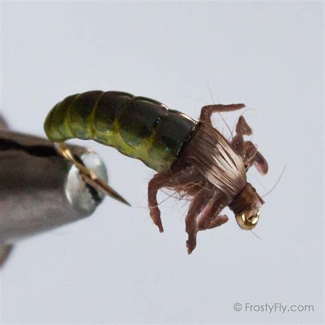 Realistic Caddis Larvae Weighted With Silicone Legs Frostyfly