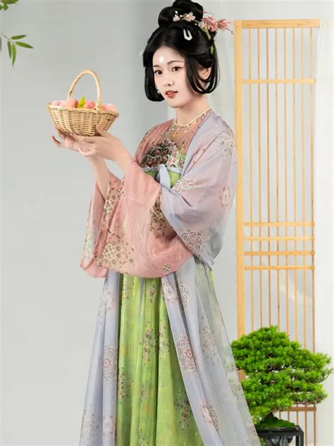 Chinese Traditiona Clothing Late Tang Dynasty Hanfu Dress Female