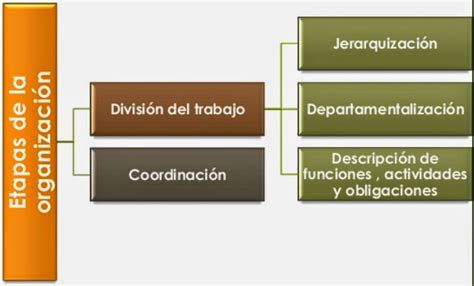 Planeación y Organización del Trabajo Elementos y Fases del proceso de