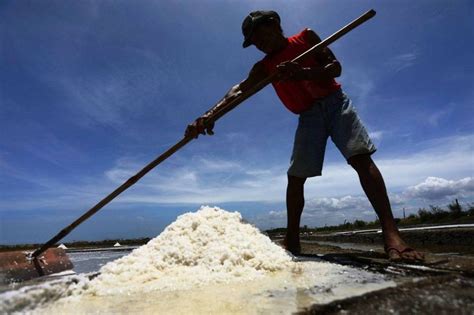 Dying Salt Industry Blamed On Land Conversion The Manila Times