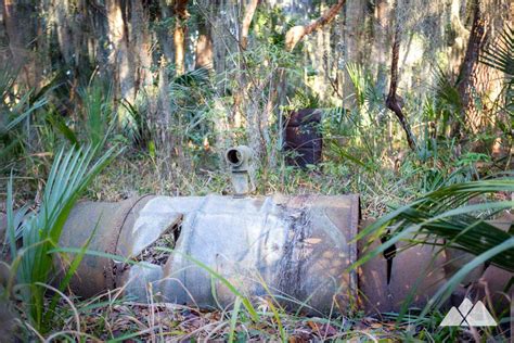 Skidaway Island Trail: hiking Georgia's coast near Savannah