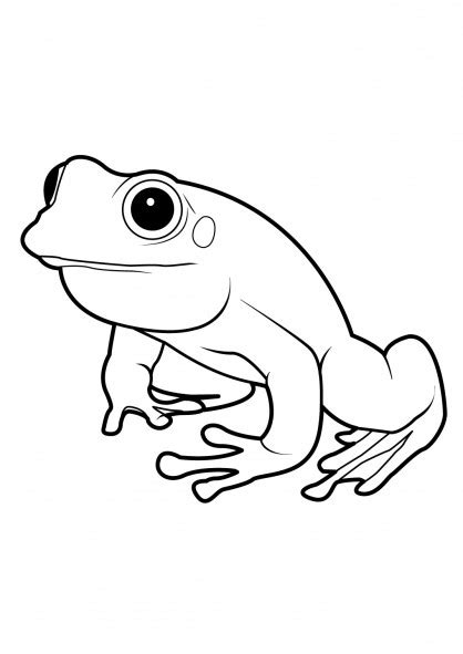 Coloriage Grenouille Gratuit Imprimer Liste