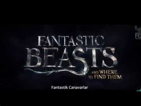 Harry Potter Serisinin Yeni Filmi Youtube