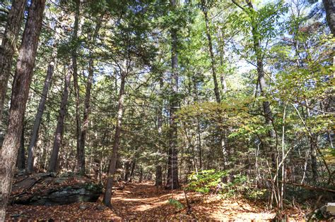 10 Fun Things To Do In Lenox Ma On Your First Visit