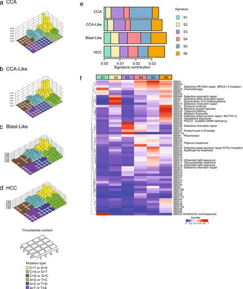 Mutational Signatures Of Cca And Hcc Reveal Cross Class Similarity A−d