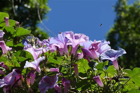 Australia Beautiful - Free photo on Pixabay - Pixabay