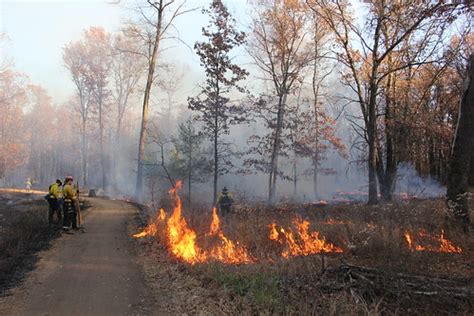 Nov Prescribed Burn In Zimmerman Prairie And Oak Sav Flickr